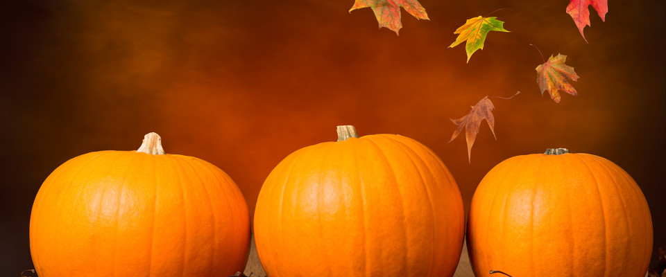 Pumpkins, Halloween, fall leaves, autumn, orange, red, leaves, Charlotte NC fall events, Charlotte NC homes for sale, Charlotte NC real estate, Showcase Realty, Nancy Braun