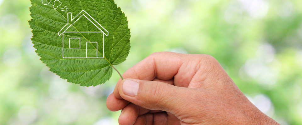 Eco Friendly, Consumption, Conservation, Enviroment, Green energy, Clean, Go Green, Charlotte NC real estate, Charlotte NC investors, Charlotte NC foreclosures, Charlotte NC homes for sale, Charlotte NC short sales, Showcase Realty, Charlotte NC Short Sale Agents